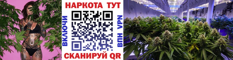 Кодеин Новая Ляля