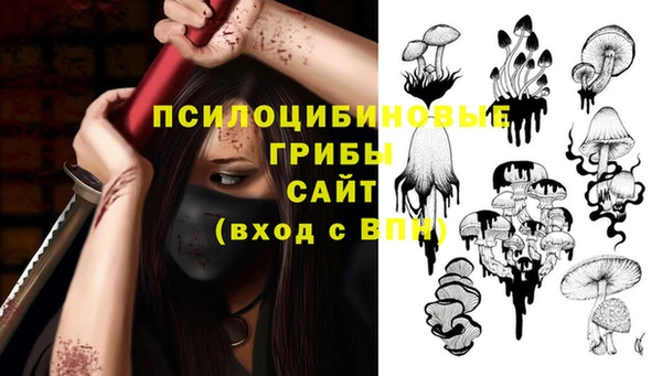 2c-b Алексеевка